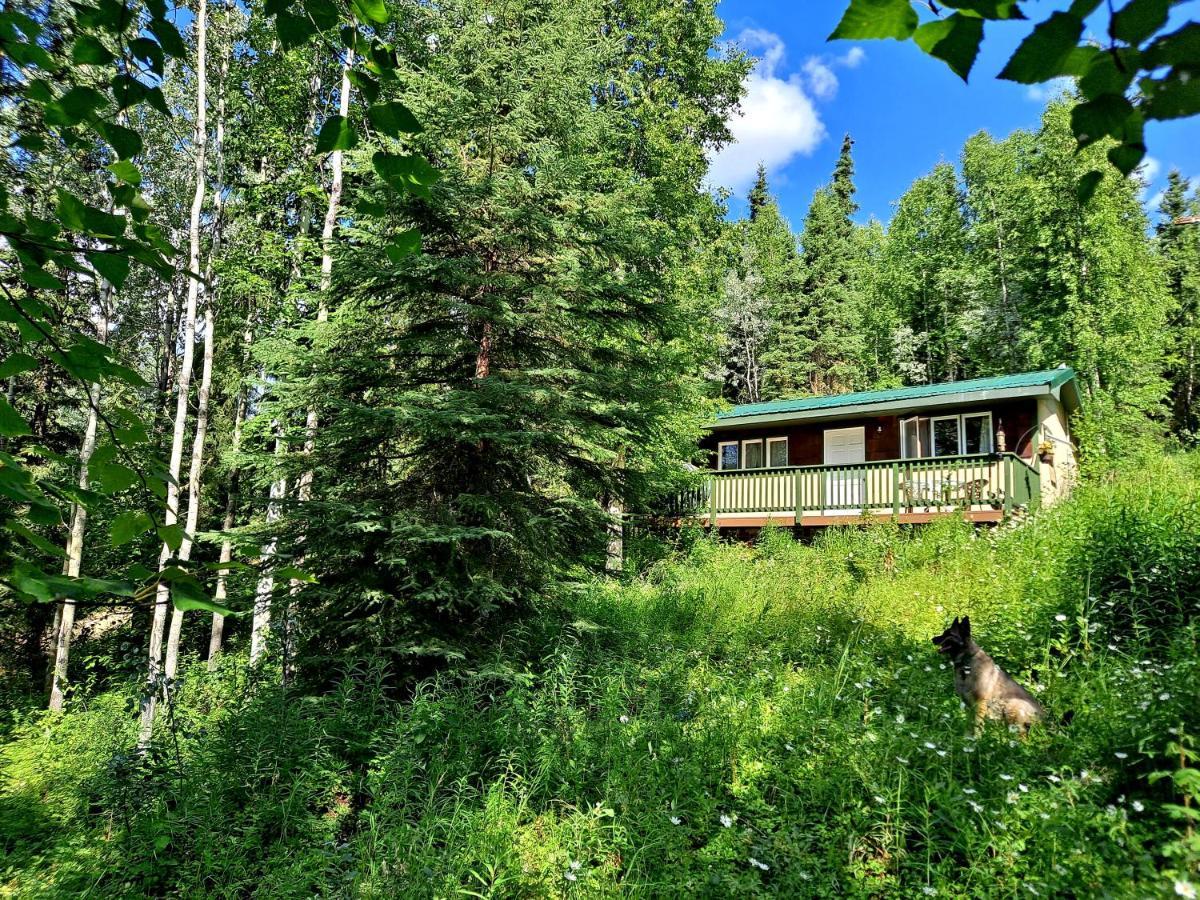 Northwoods Cottage Bed And Breakfast Fairbanks Zewnętrze zdjęcie